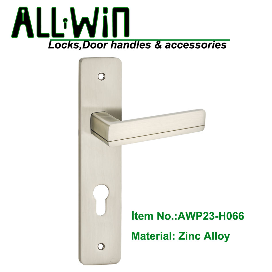 AWP23-H066 SNCP Door Handle On Panel